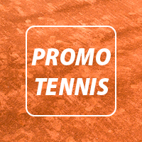 Un anno di Tennis estivo e invernale    